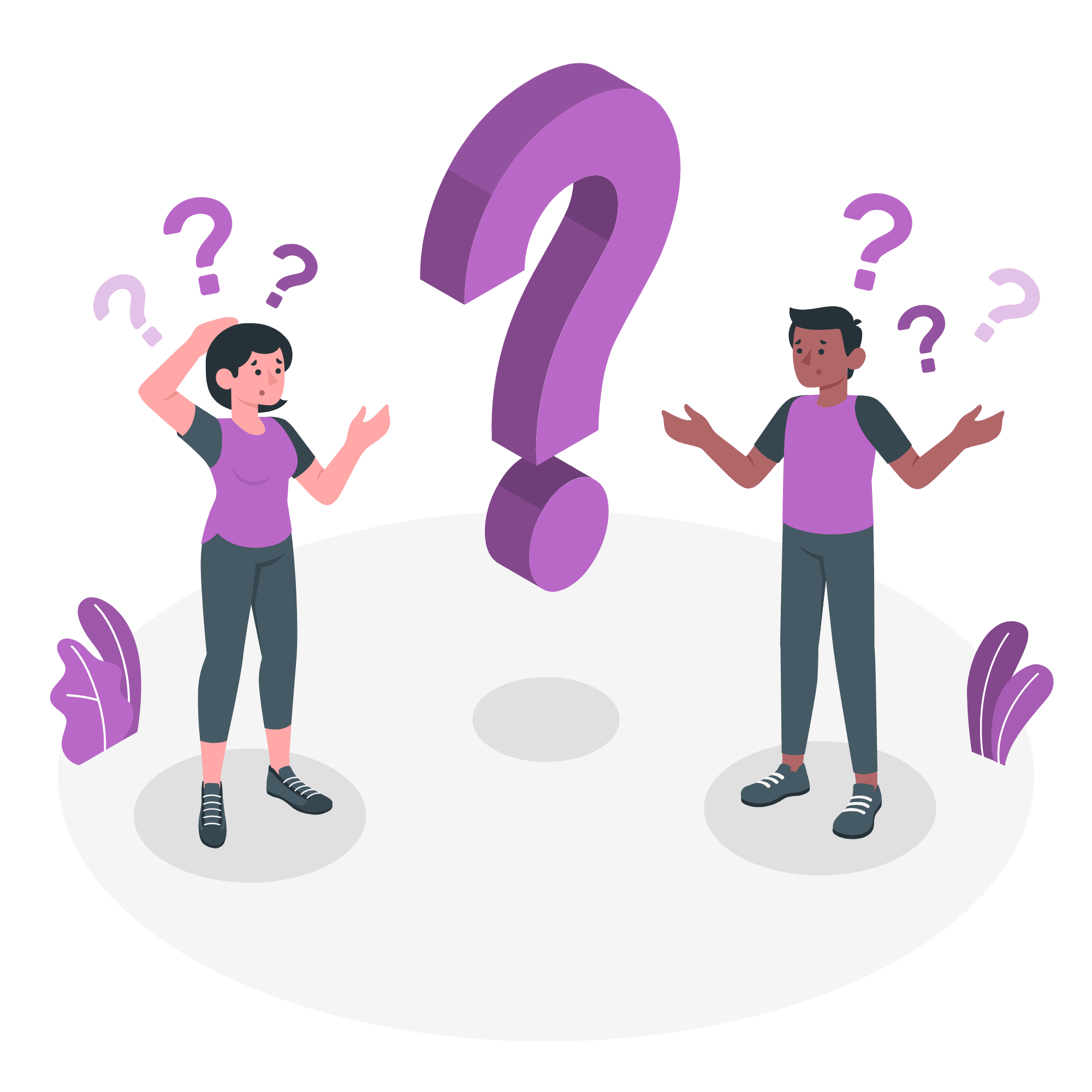 Questions-amico